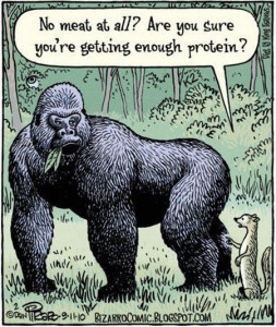 Enough-protein-1