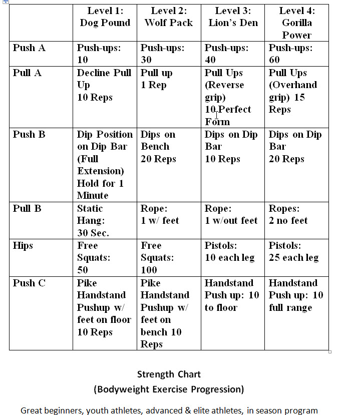 Strength Level Chart